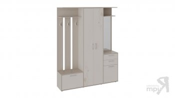 Набор мебели для прихожей «Витра» Тип 2(трия) в Карасуке - mebel154.com