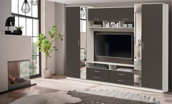 ШМЦ Вена 91.01 с зеркалом в Карасуке - mebel154.com