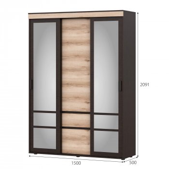 Шкаф-купе Берген в Карасуке - mebel154.com