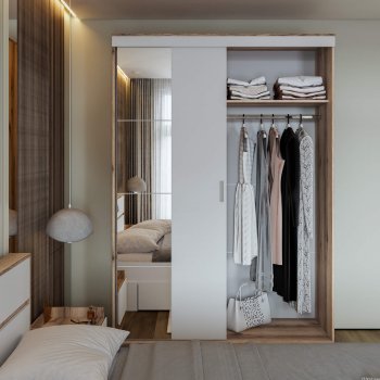 Шкаф-купе Брауни 1.5м в Карасуке - mebel154.com