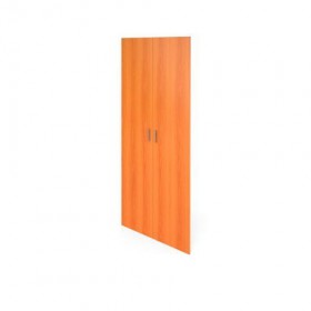 Двери В-866 (ВД-866,ВФ-866) в Карасуке - mebel154.com