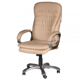 Кресло офисное BRABIX Omega EX-589 в Карасуке - mebel154.com