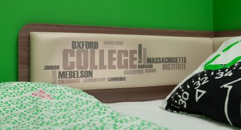 Кровать софа с ящиками Колледж в Карасуке - mebel154.com