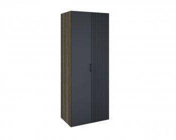 Шкаф 2-х Борнео ШК-173 в Карасуке - mebel154.com