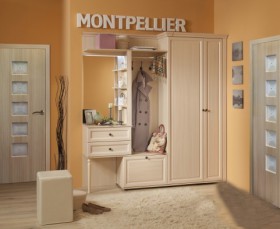 Шкаф для обуви 1 Montpellier в Карасуке - mebel154.com