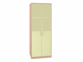 Шкаф для одежды 2-х дверный 2 Калейдоскоп в Карасуке - mebel154.com