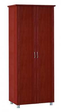 Шкаф для одежды 2-х дверный 3 Элегия в Карасуке - mebel154.com