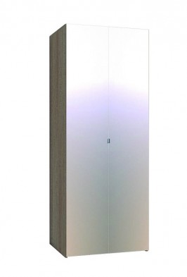 Шкаф для одежды 2-х дверный 35-3 WYSPAA в Карасуке - mebel154.com