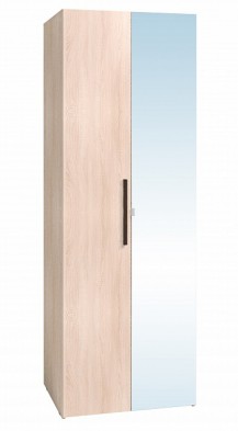 Шкаф для одежды 2-х дверный 8 Bauhaus в Карасуке - mebel154.com