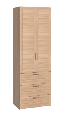 Шкаф для одежды 2-х дверный с ящ 12 Регата в Карасуке - mebel154.com