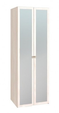 Шкаф для одежды 2-х дверный с зеркалом 54-2 Бриз в Карасуке - mebel154.com