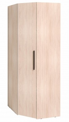 Шкаф для одежды угловой 12 Bauhaus в Карасуке - mebel154.com