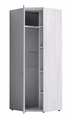 Шкаф для одежды угловой 56-2 Paola в Карасуке - mebel154.com