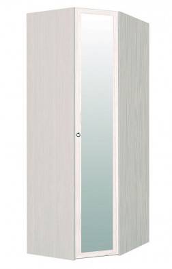 Шкаф для одежды угловой с зеркалом 56-2 Марсель в Карасуке - mebel154.com