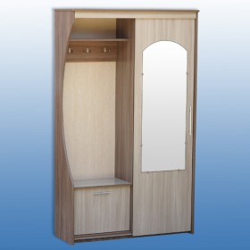 Шкаф для прихожей-2 в Карасуке - mebel154.com