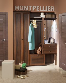 Шкаф для прихожей МЦН 2 Montpellier в Карасуке - mebel154.com